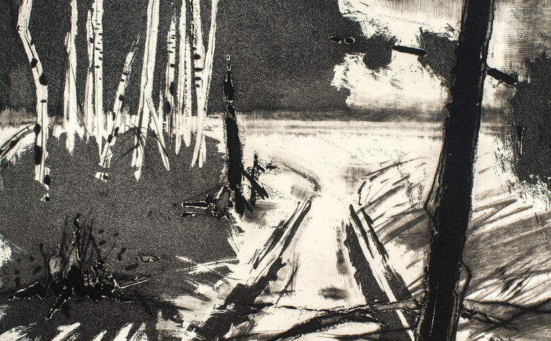 Christian Lang, Landschaft bei Geyer, 1987. Strukturreiche Radierung in verschiedenen Grautönen, dargestellt ist eine Moorlandscahft mit Baumstämmen und Wasserflächen, links eine Birkengruppe