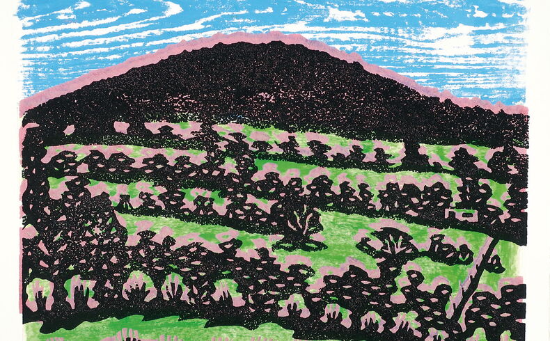 Farbiger Druck in schwarz, grün, rosa und blau mit dem Bergrücken des Pöhlbergs, davor die charakteristischen Steinrücken mit Bäumen und Sträuchern