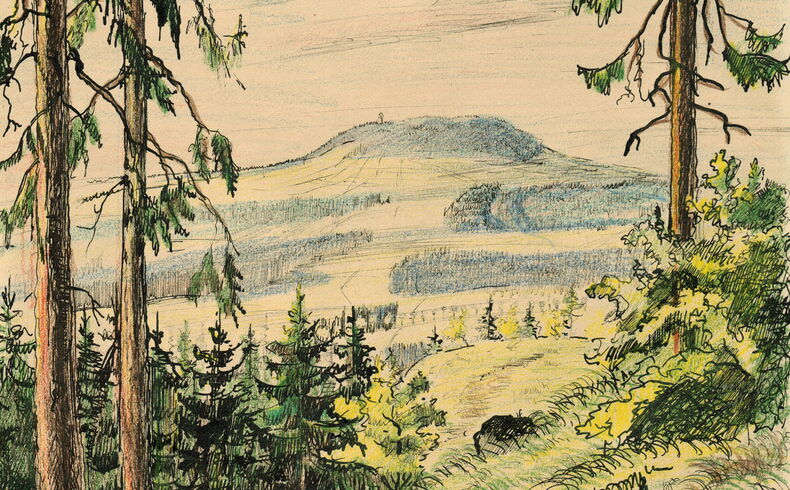 Dietrich Fröhner, Der Pöhlberg, undatiert. Realistisch und detaillierte Zeichnung, mit Bunststift koloriert, Blick von einem Waldweg aus auf den Pöhlberg in der Ferne, links zwei, rechts eine große Fichtechten