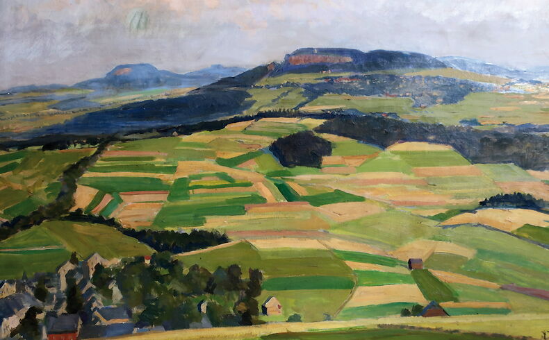 Weite sommerliche Landschaft mit Blick zum Scheibenberg und Bärenstein, davor kleinteilige Felderstruktur, links einige Häuser